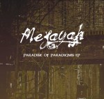 Paradise of Paradigms Front Cover