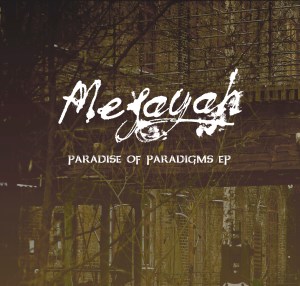 Paradise of Paradigms Front Cover