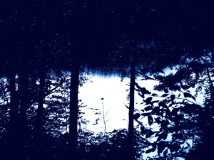 Gjenskinn