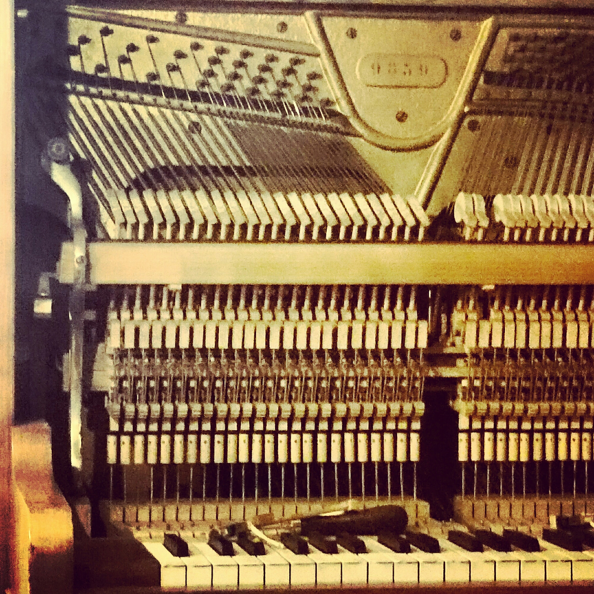 wp-1425711457595 image